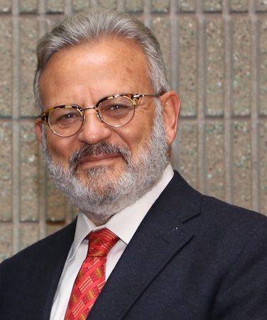 Ayman El-Mohandes 2017