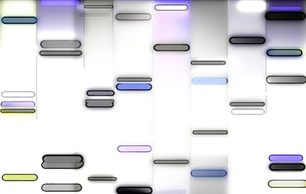 Mapped DNA