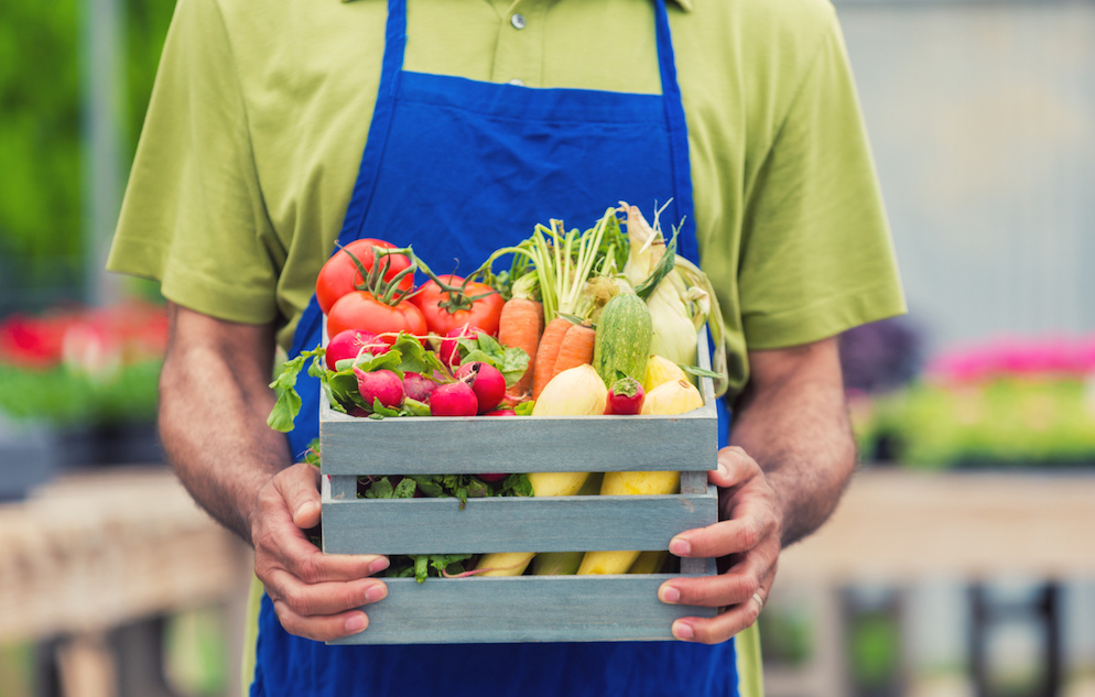 African American mans hands holding a box on fresh vegetables. Focus is on hands and box, head is out of frame. He is wearing a green shirt and blue apron.