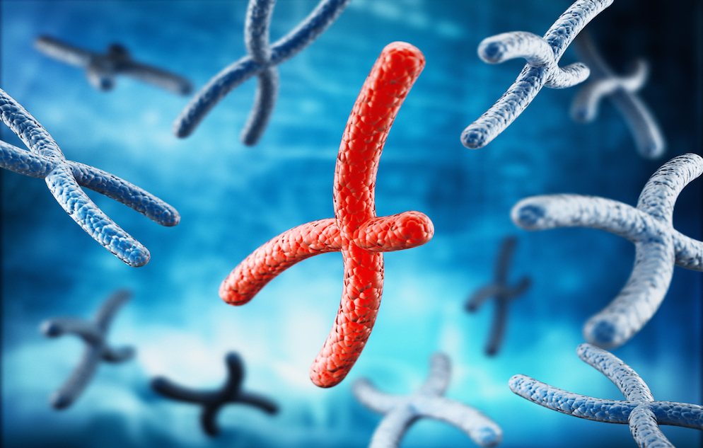 Red broken X chromosome among blue chromosomes on blue background.