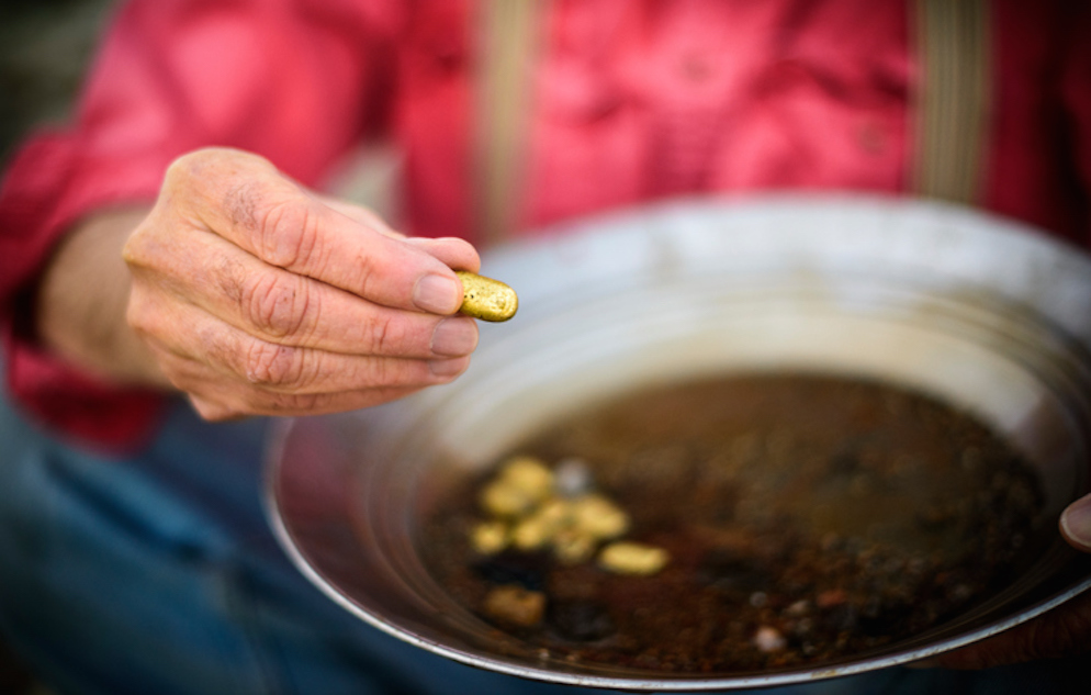 Man holding out golden nugget found from panning for gold.