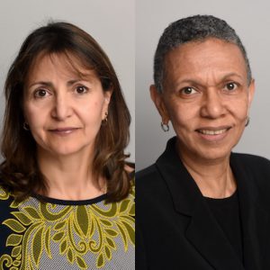 CUNY SPH faculty awarded fellowship from University of Alcalá in Spain