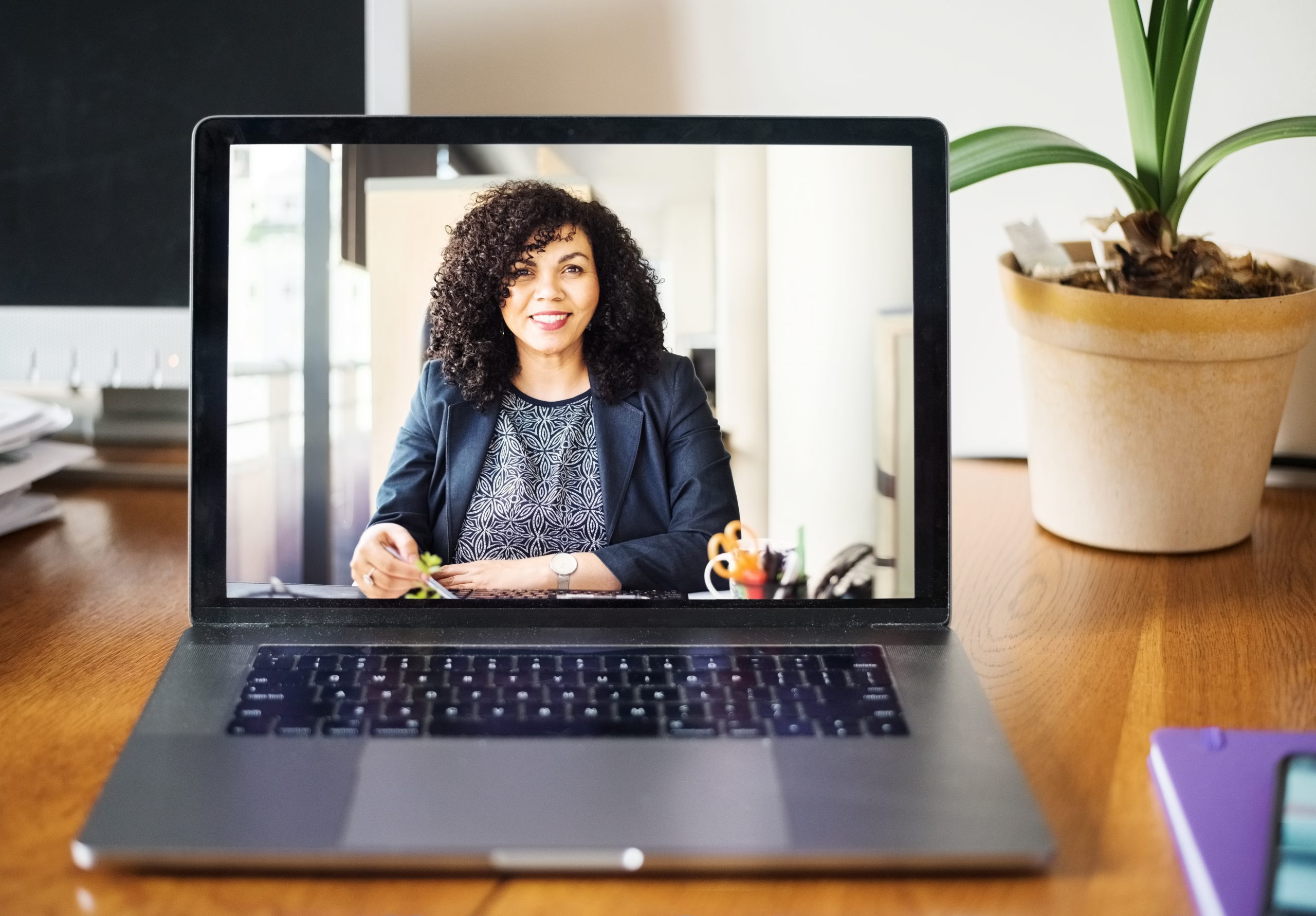 Video conference with career counselor