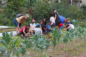 Adding people to a food-energy-water nexus analysis of urban agriculture