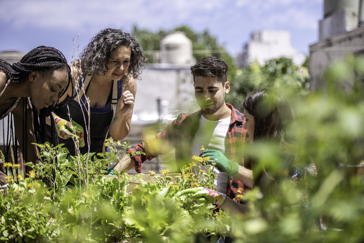 Group of young people learning urban gardening from a mid adult gardening teacher.