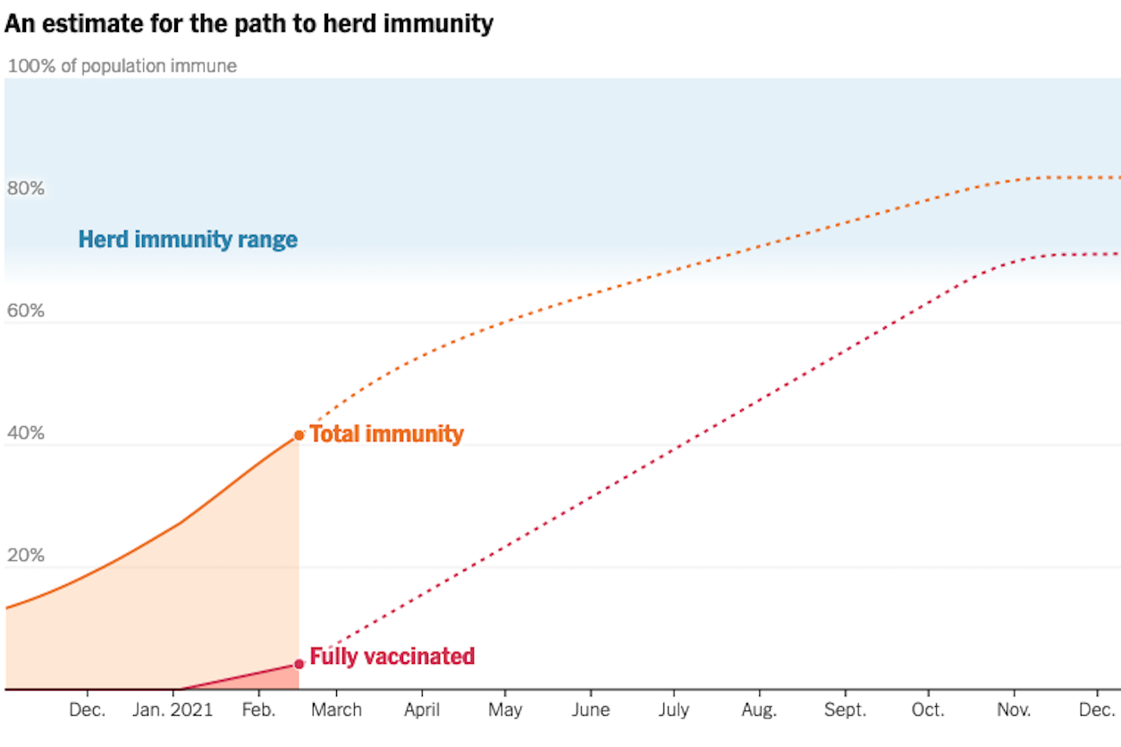 NYT herd immunity graphic
