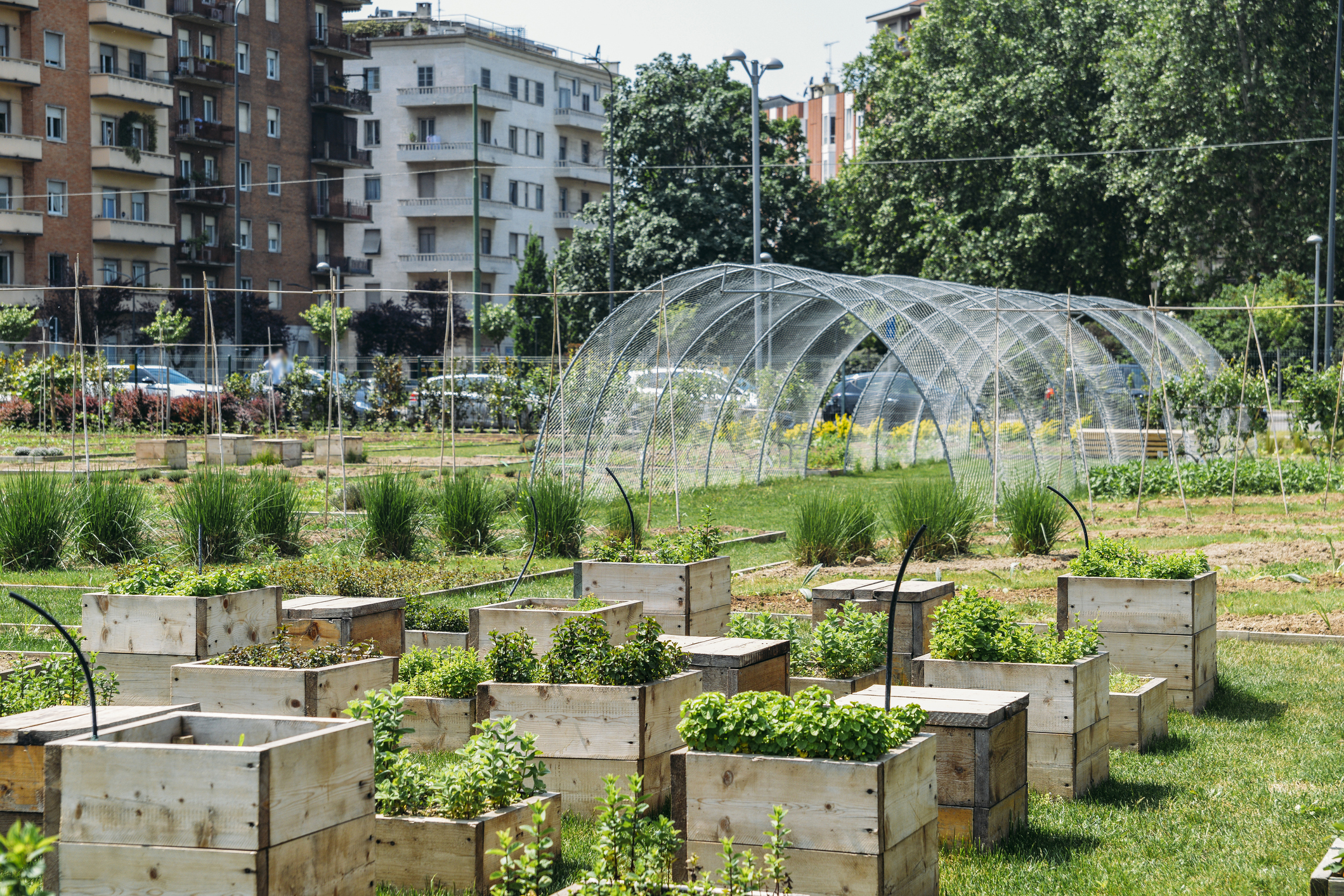 urban garden in Milan, Italy