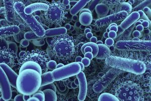 CUNY SPH researchers unveil comprehensive database of published microbial signatures