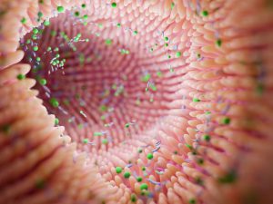 Immune therapy changes in gut microbiome shed light on effectiveness of treatment