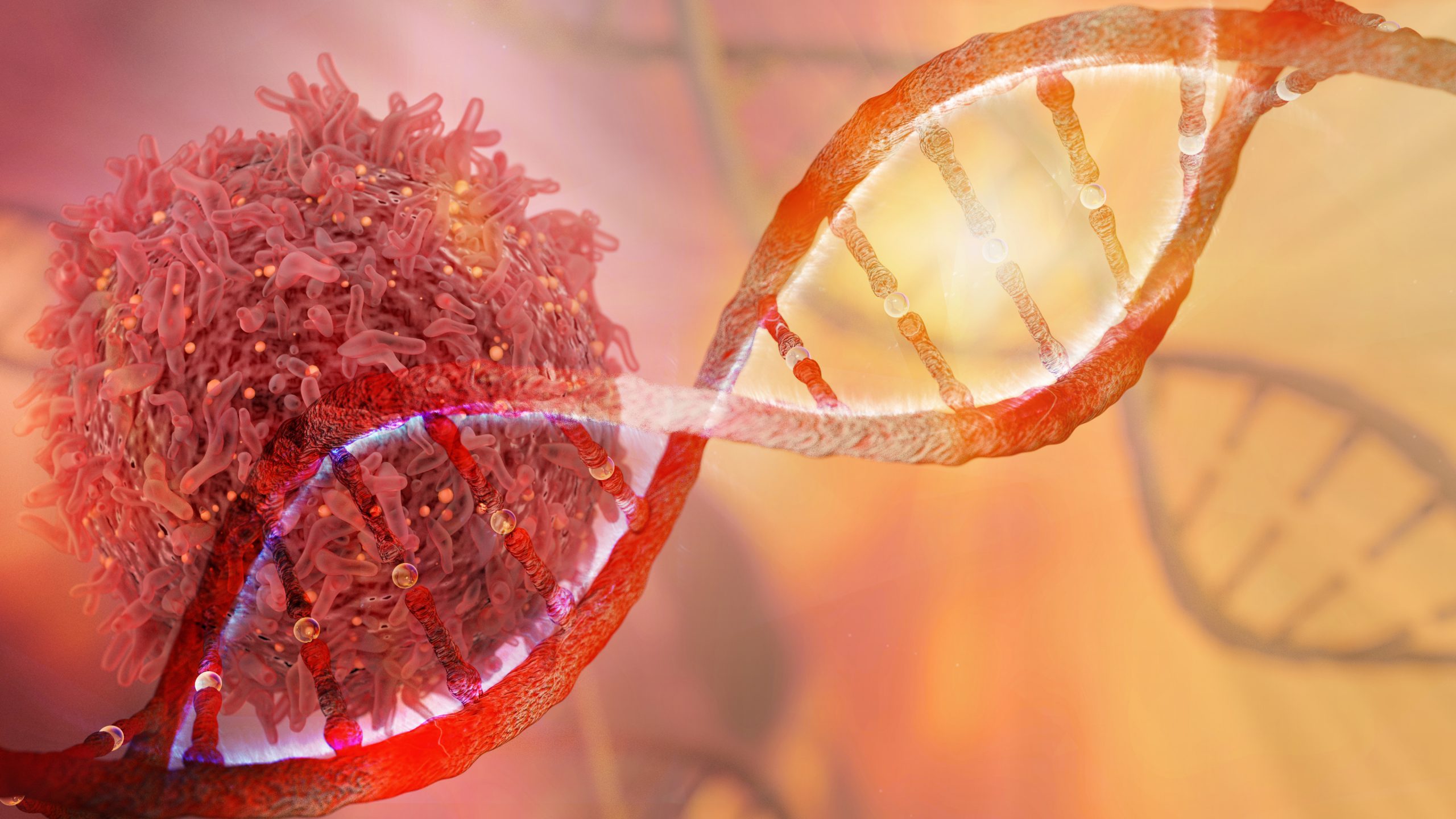 DNA strand and Cancer Cell