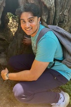 Nabeel Razi