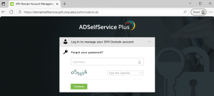 Screenshot of DomainSelfSerice - Forgot Password link