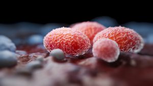 Study finds children drive household mpox infections