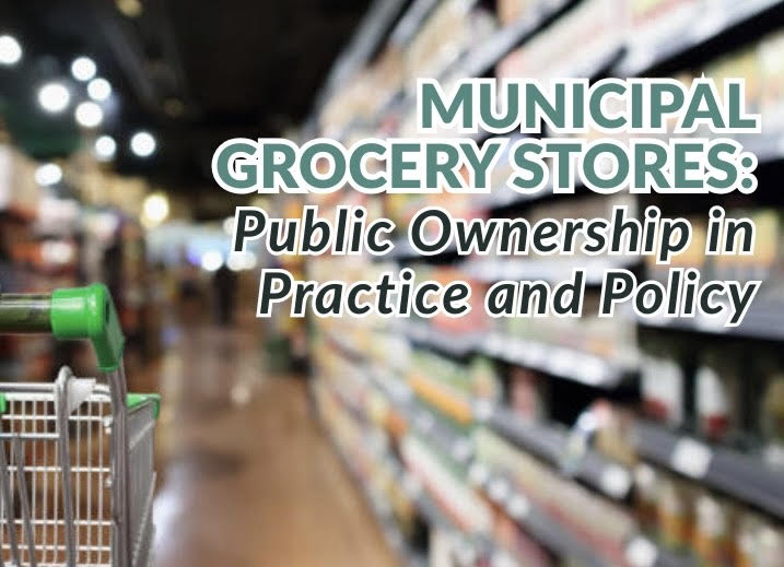 public ownership in practice and policy graphic