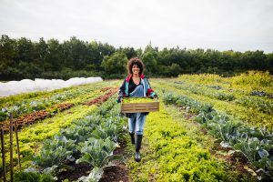 Hudson Valley initiative puts food sovereignty into practice